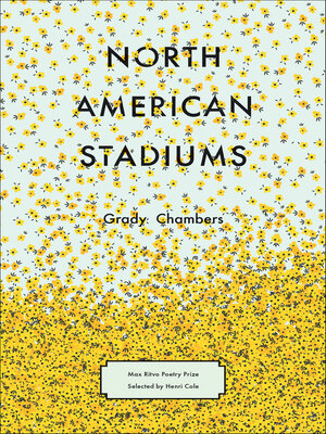 North American Stadiums - ebook